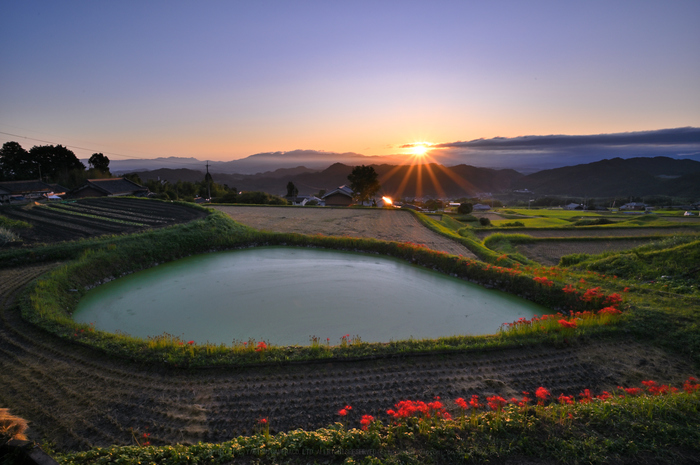 撮影速報：奈良 葛城 一言さんの彼岸花 2019 ／ ニコン NIKKOR Z 85mm